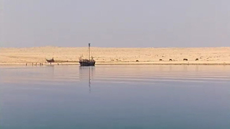 view all