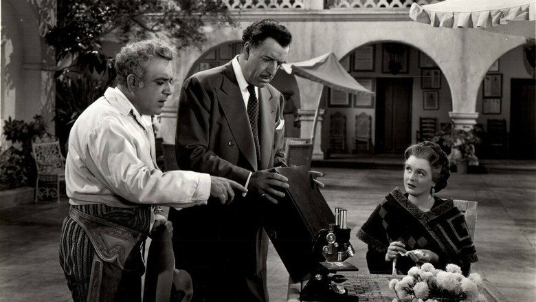 Scene 4
