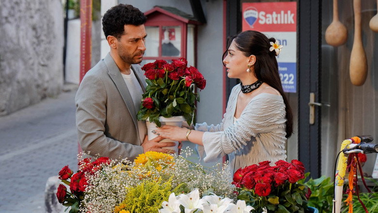 Scene 3