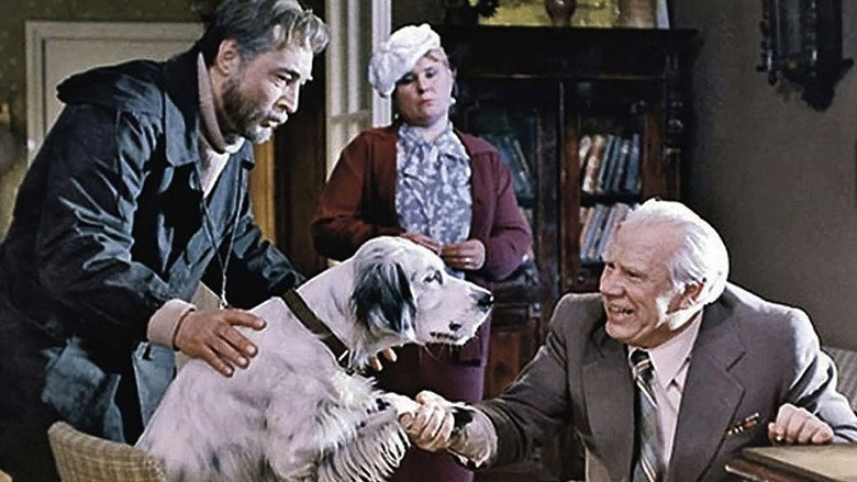 Scene 3