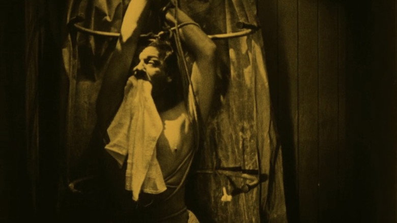 Scene 3