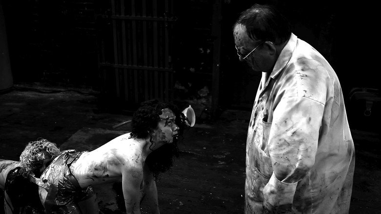 Scene 3