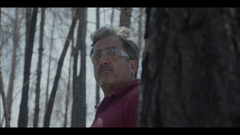 Scene 5