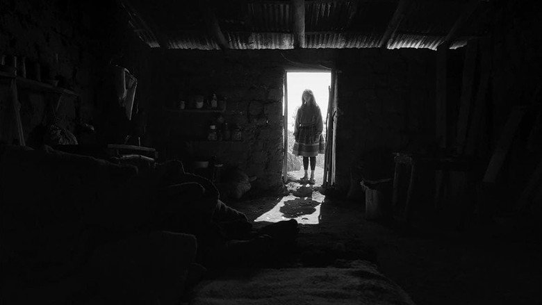 Scene 5
