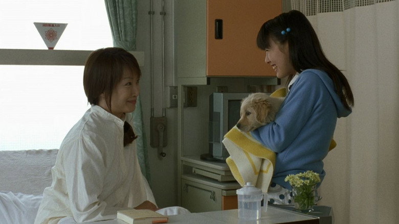Scene 4