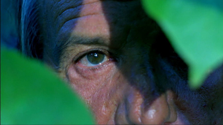 Scene 2