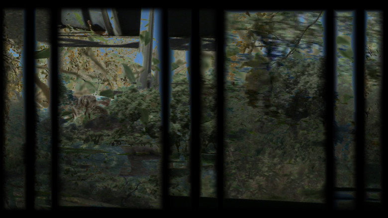 Scene 3