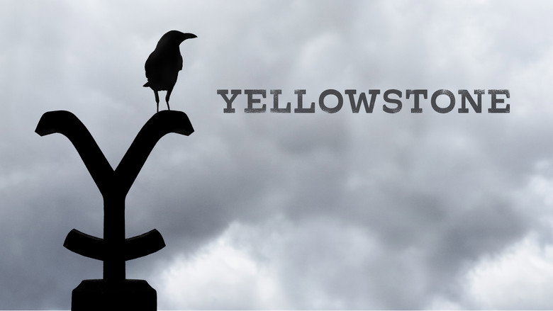 view all