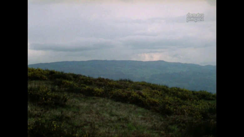 Scene 5