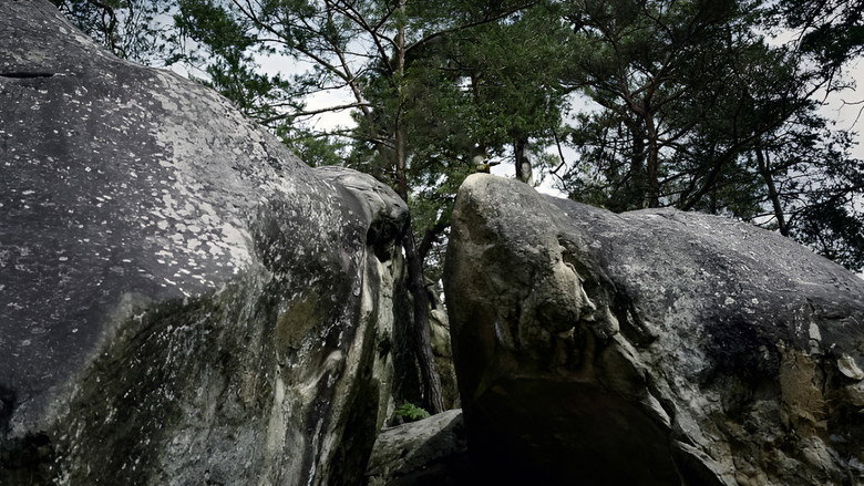 Scene 2