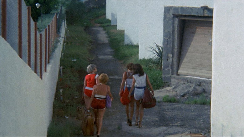 Scene 3