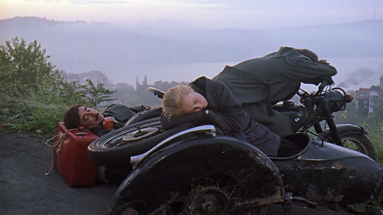 Scene 3