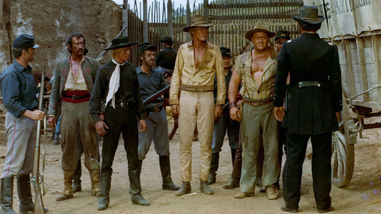 Scene 5