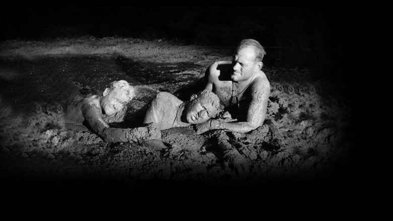 Scene 3