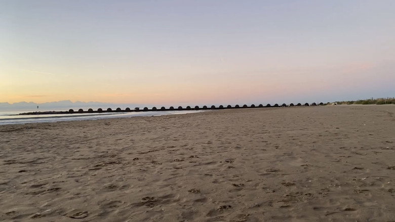 view all