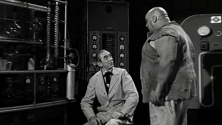Scene 3
