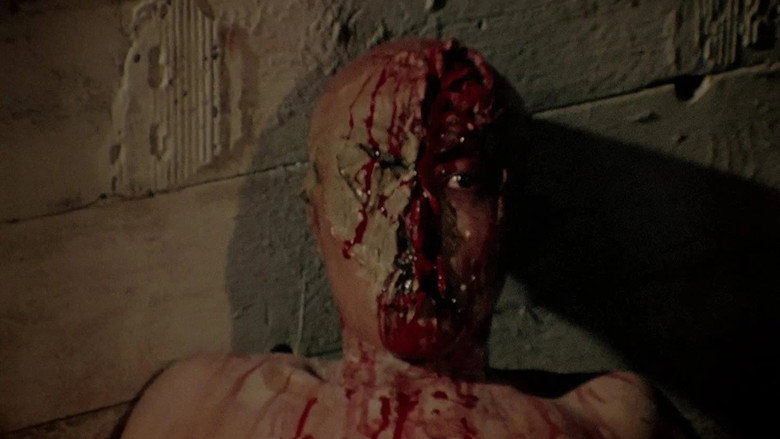 Scene 5