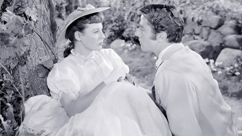 Scene 3