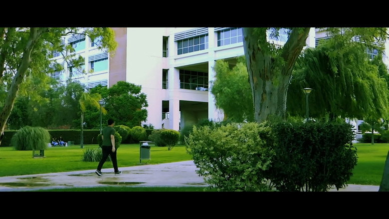 Scene 5