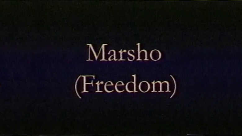 Freedom backdrop