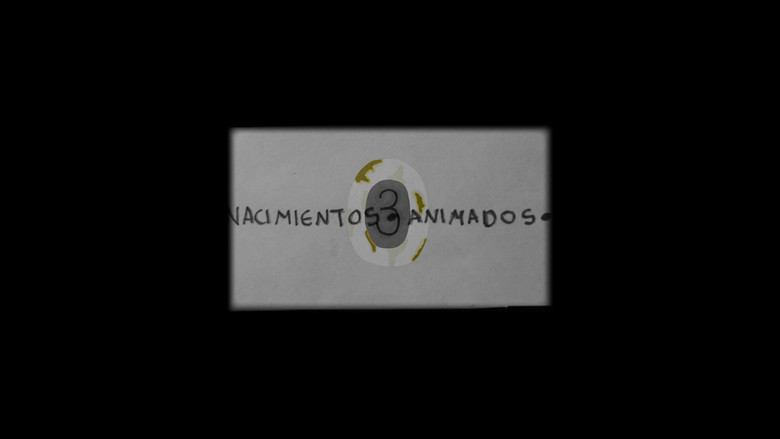 Nacimientos Animados: 3