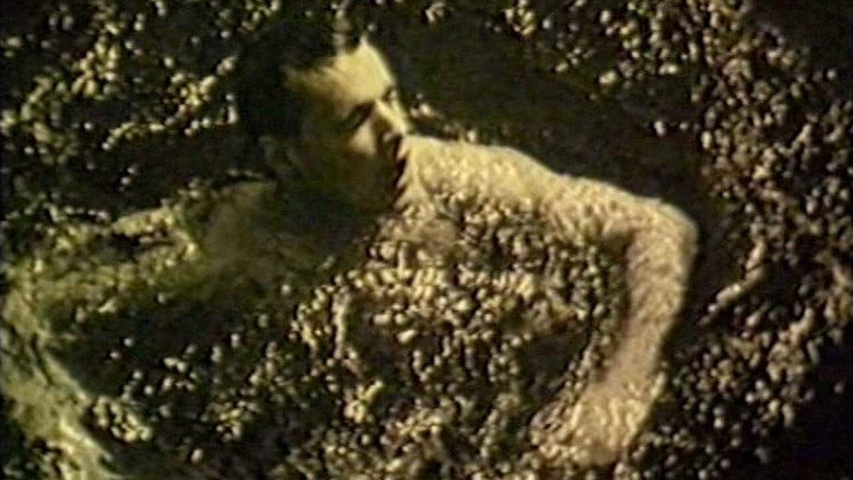 Scene 5