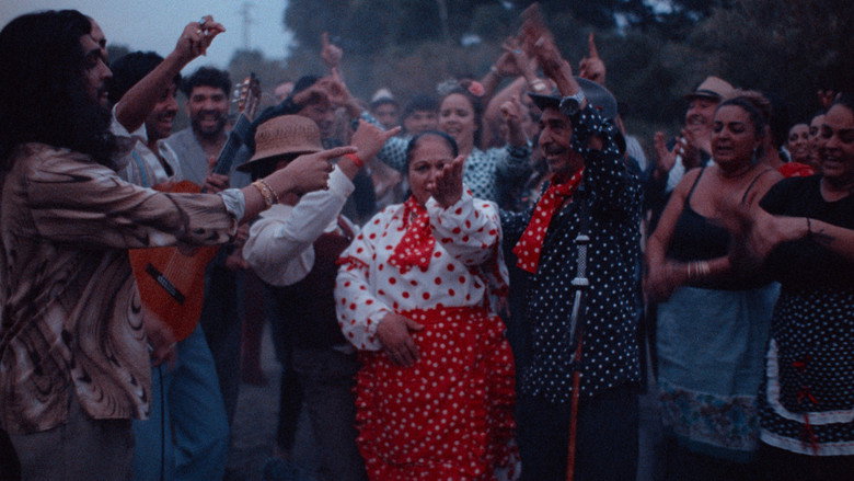 The Flamenco Guitar of Yerai Cortés