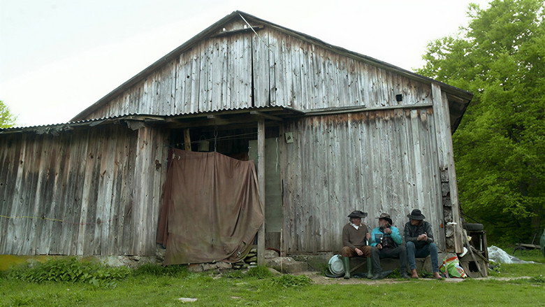Scene 5