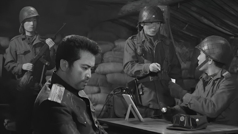 North and South backdrop