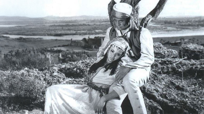 Scene 3