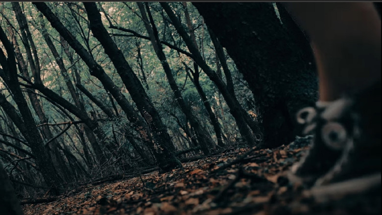 Scene 5