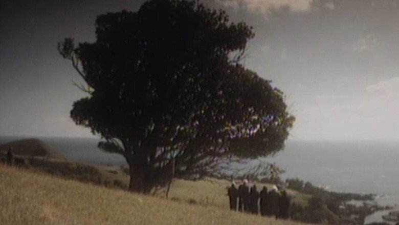 Scene 3