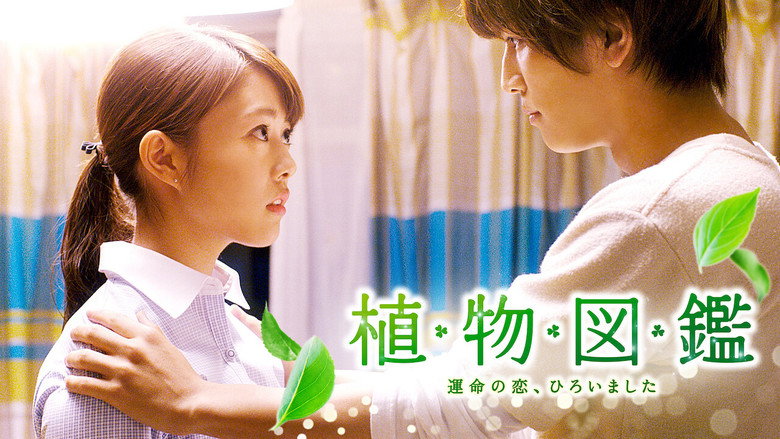 Scene 4