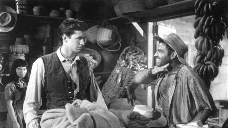 Scene 3