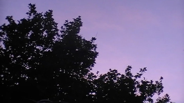 Scene 2
