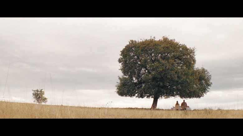 Scene 3