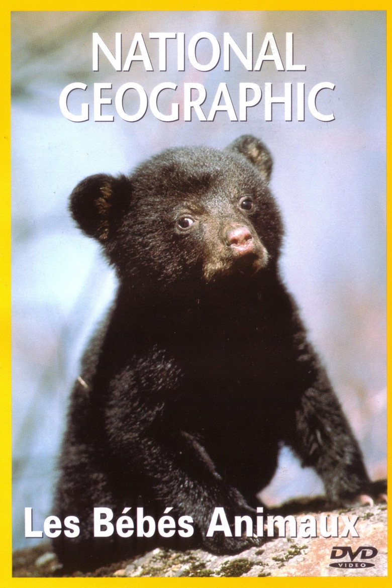 Poster 2
