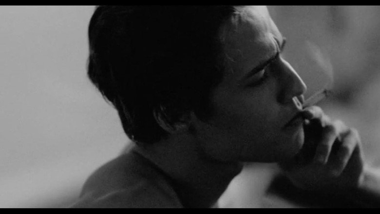 Scene 3