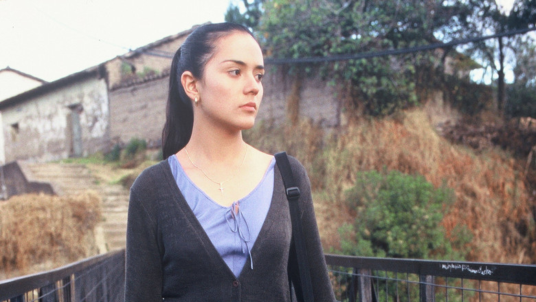 Scene 5