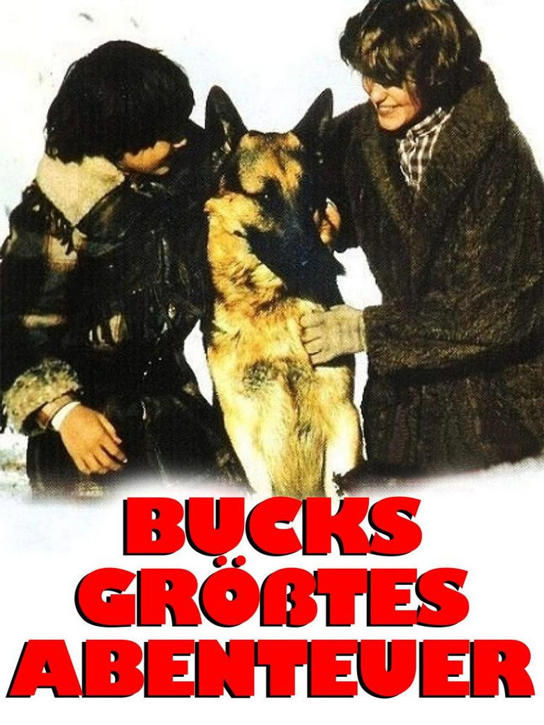 Poster 3
