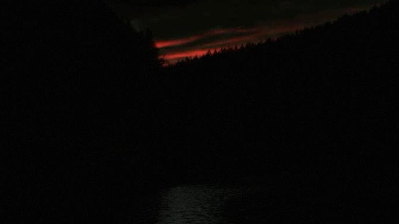 view all
