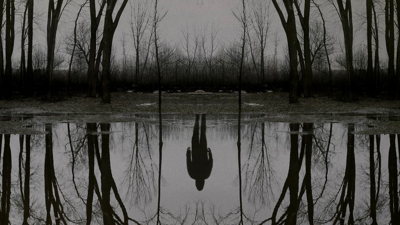 The Outsider