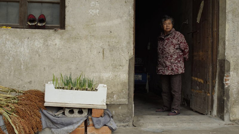 Scene 5