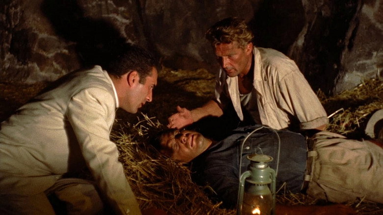 Scene 4