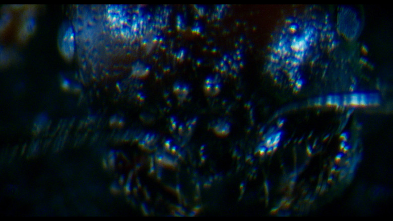 Antface backdrop