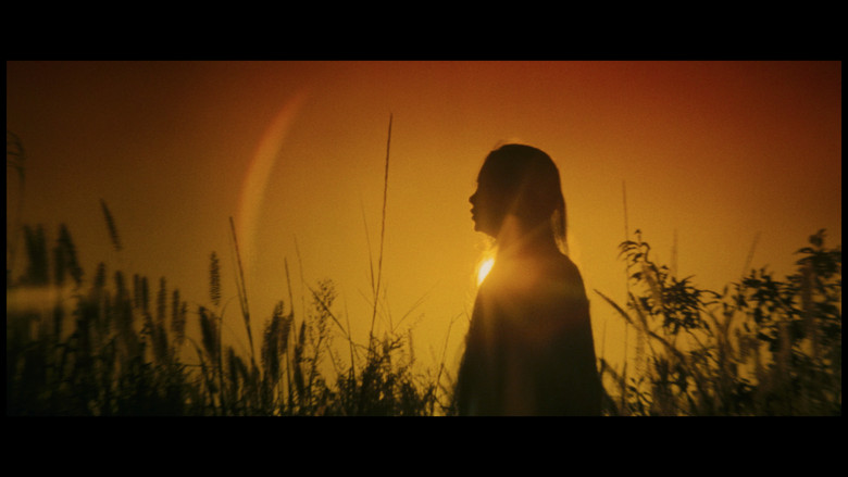 Scene 3