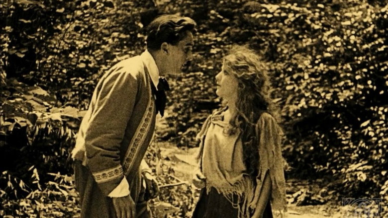 Scene 5