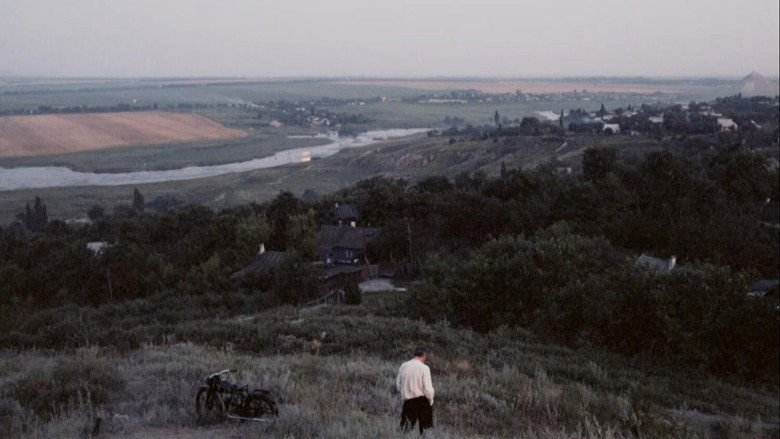 Scene 5