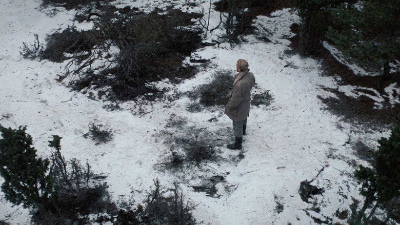 Scene 3