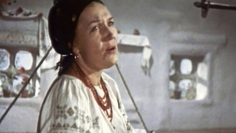 Scene 5